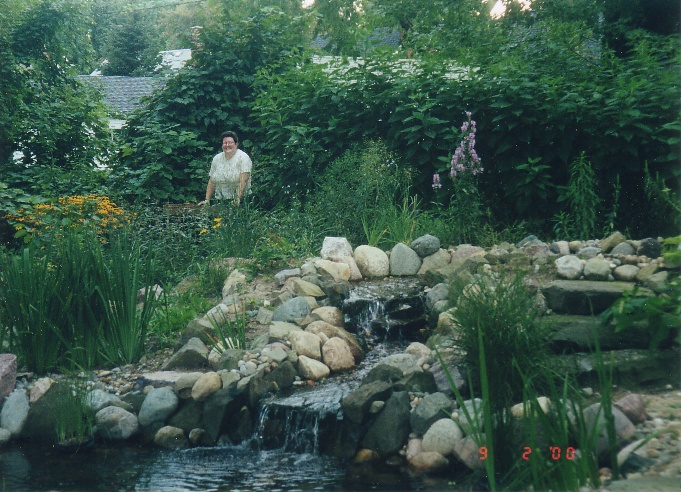 The Pond on November 2, 2000